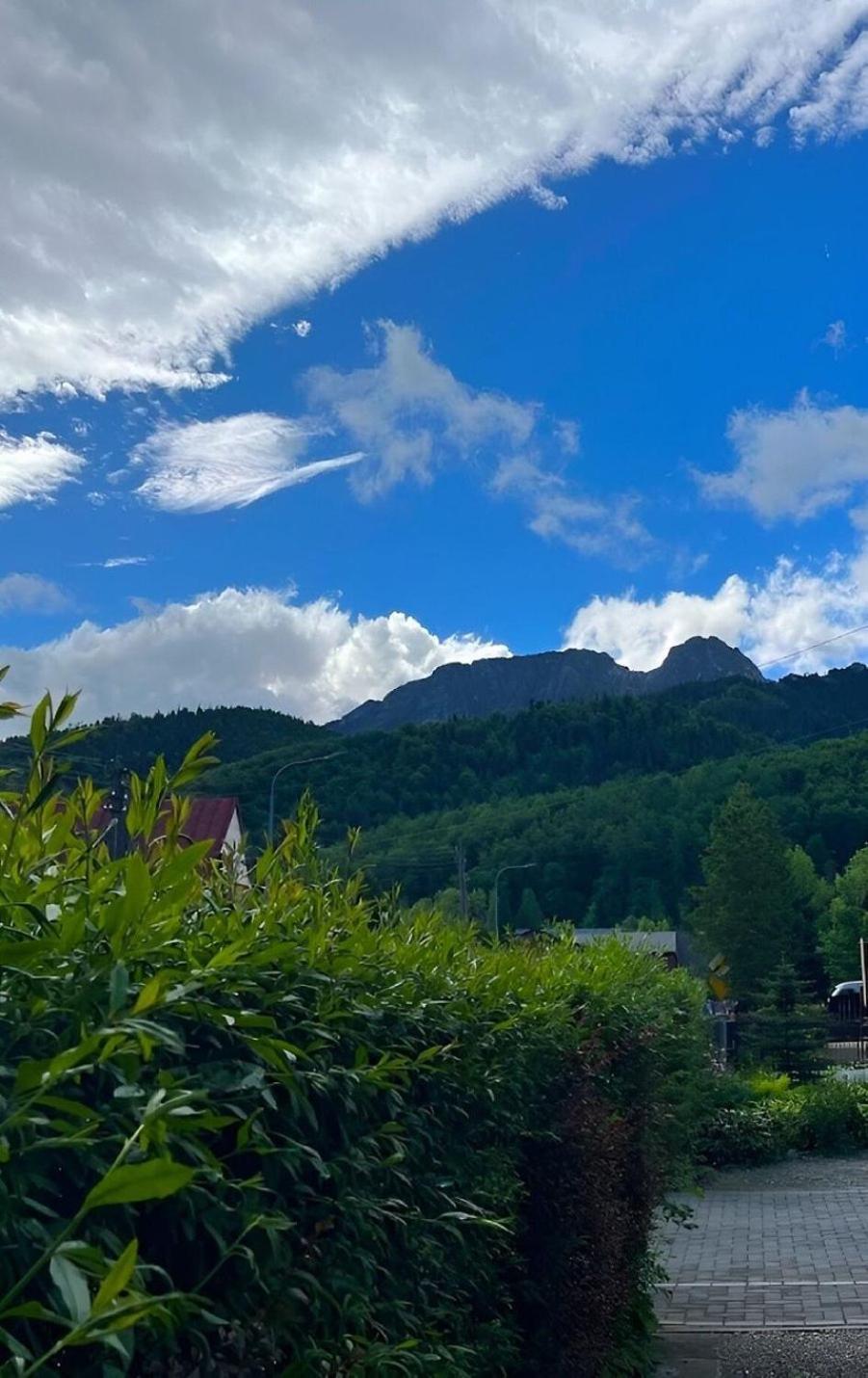 Apartamento Dom Lesnik Zakopane Exterior foto