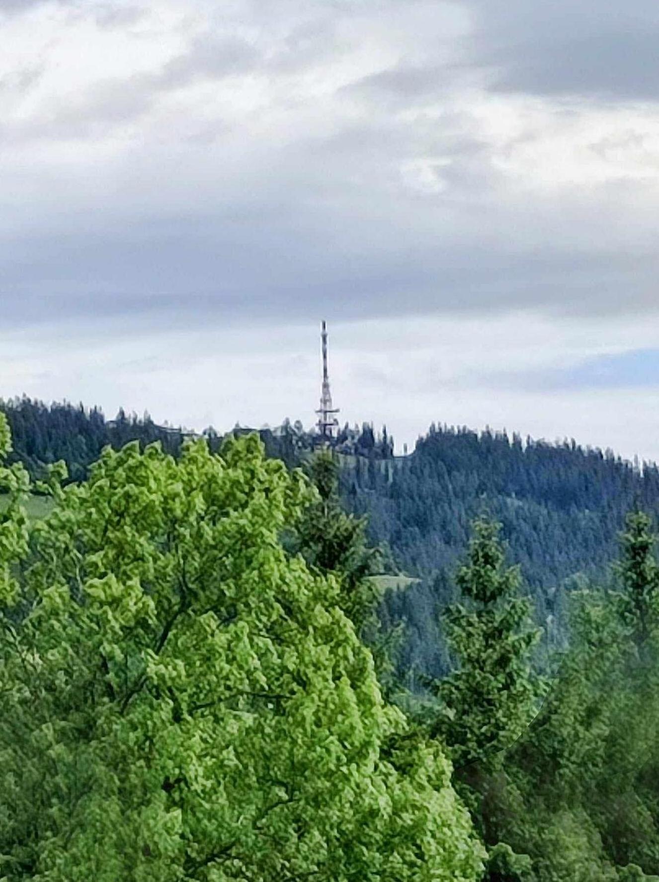 Apartamento Dom Lesnik Zakopane Exterior foto