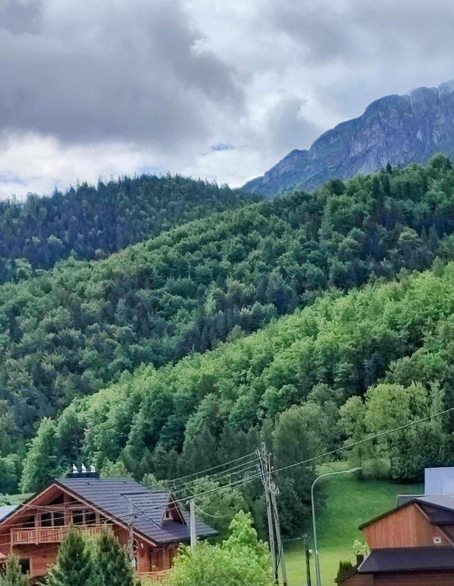 Apartamento Dom Lesnik Zakopane Exterior foto