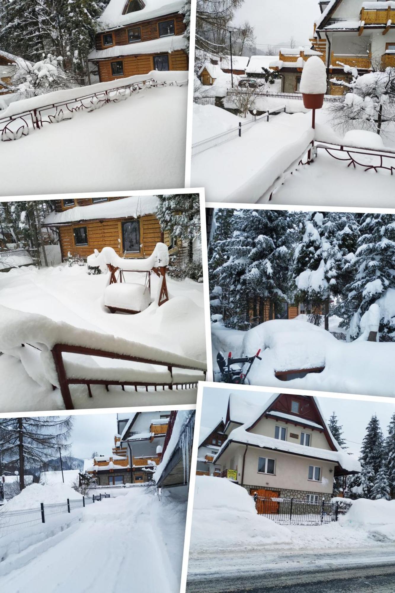 Apartamento Dom Lesnik Zakopane Exterior foto